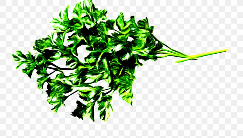 Onion Cartoon, PNG, 960x549px, Parsley, Dill, Drink, Flower, Food Download Free