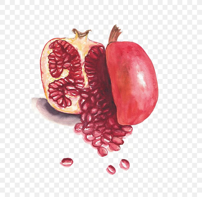 Pomegranate Fruit Auglis, PNG, 564x798px, Watercolor, Cartoon, Flower, Frame, Heart Download Free