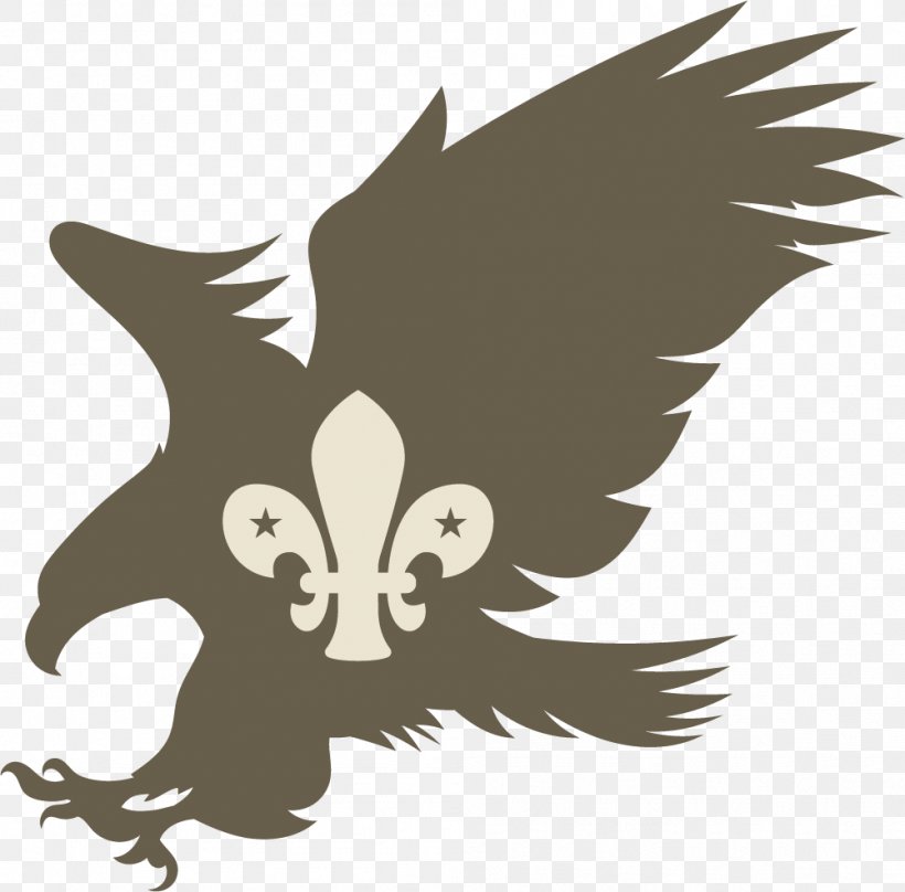 Silhouette Clip Art, PNG, 1001x987px, Scalable Vector Graphics, Autocad Dxf, Beak, Bird, Bird Of Prey Download Free