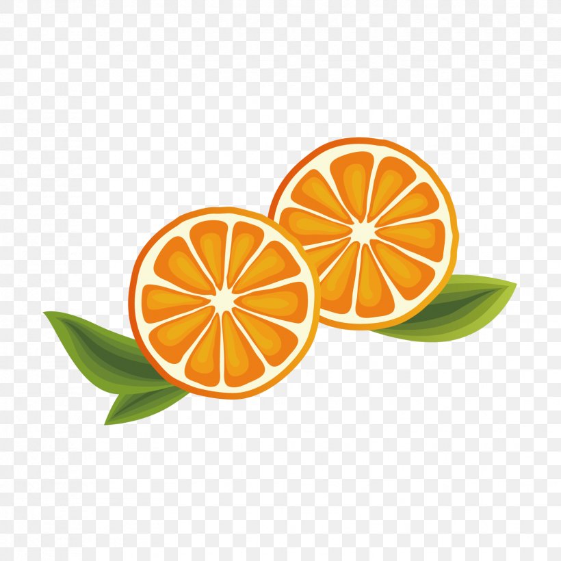 Vector Graphics Illustration Euclidean Vector, PNG, 1654x1654px, Fruit, Citric Acid, Citrus, Food, Jam Download Free