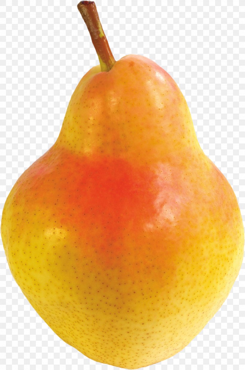Asian Pear Fruit, PNG, 2064x3117px, Tangelo, Accessory Fruit, Apple, Asian Pear, Blood Orange Download Free