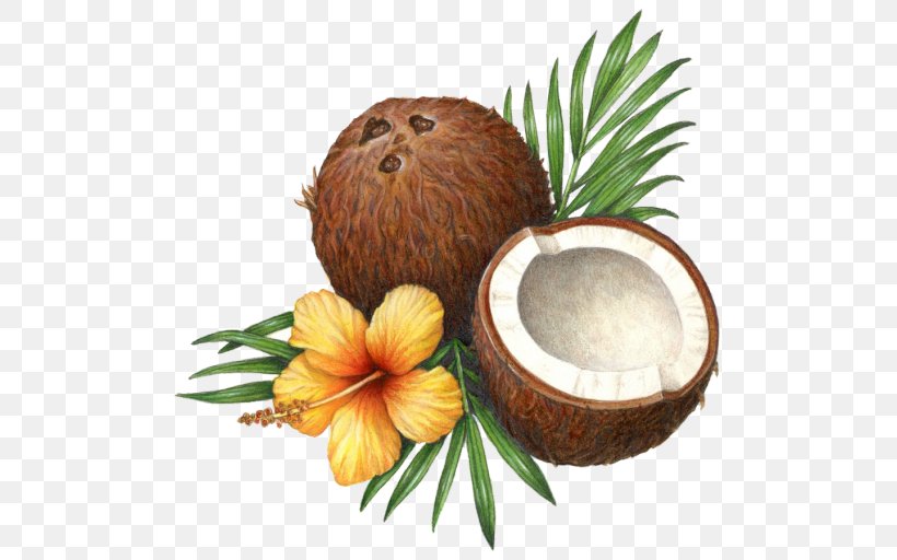 Coconut Water Coconut Milk Coconut Oil Health, PNG, 512x512px, Coconut Water, Ananas, Balsamic Vinegar, Coconut, Coconut Milk Download Free