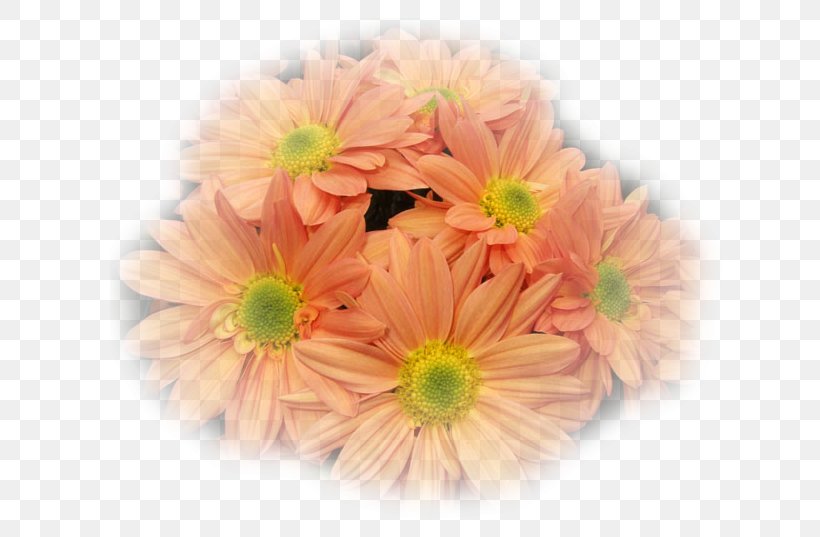 Cut Flowers Floral Design Artificial Flower Flower Bouquet, PNG, 651x537px, Cut Flowers, Artificial Flower, Chrysanthemum, Chrysanths, Daisy Family Download Free