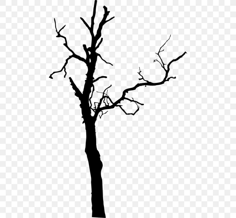 Twig Tree Clip Art, PNG, 480x758px, Twig, Black And White, Branch, Flower, Flowering Plant Download Free