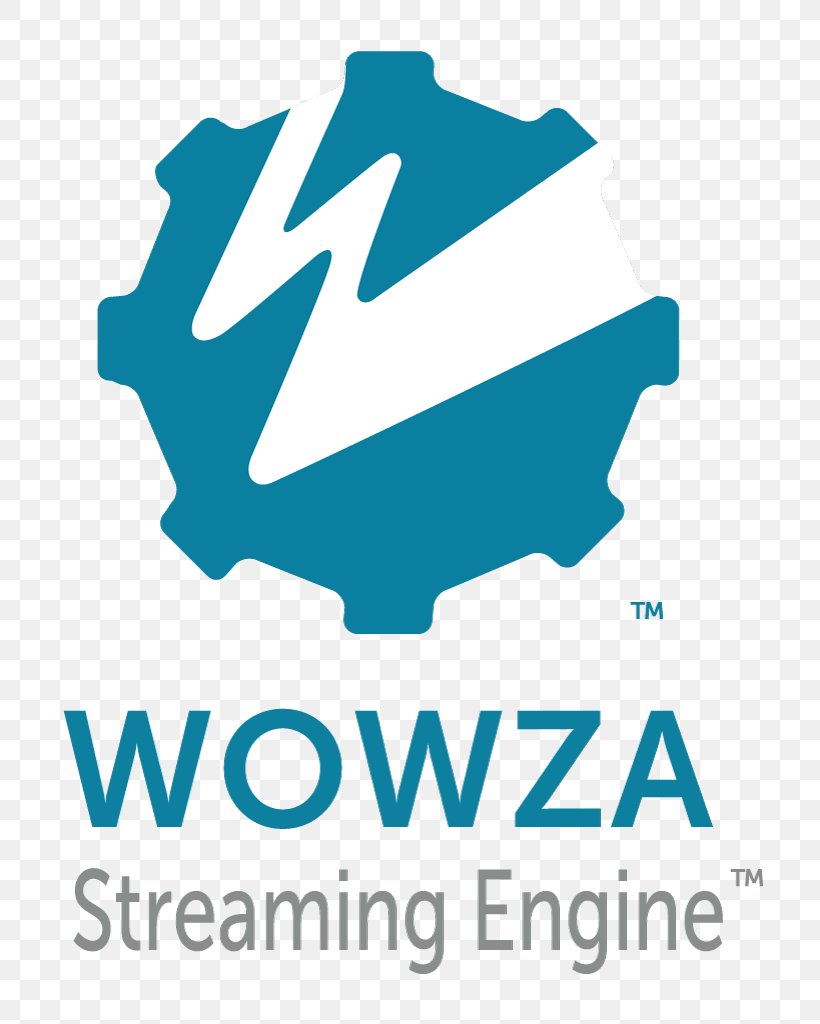 Wowza Streaming Engine Streaming Media Logo Computer Servers Media Server, PNG, 796x1024px, Wowza Streaming Engine, Aqua, Area, Brand, Computer Servers Download Free