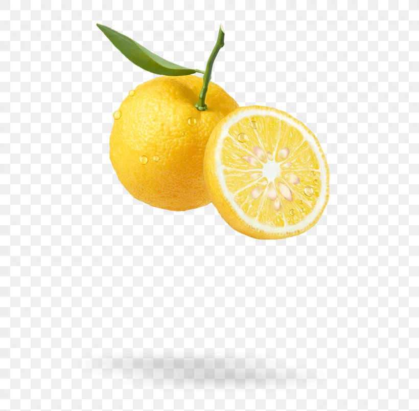 Citrus Junos Fruit Lemon Hair Clementine, PNG, 1000x980px, Citrus Junos, Bitter Orange, Citric Acid, Citron, Citrus Download Free