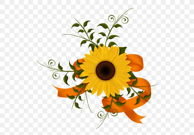 Common Sunflower Floral Design Image Drawing, PNG, 584x572px, Common Sunflower, Animation, Cartoon, Chrysanthemum, Cut Flowers Download Free