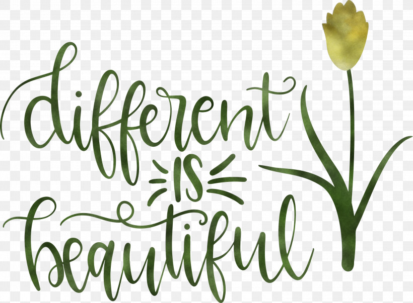 Different Is Beautiful Womens Day, PNG, 3000x2209px, Womens Day, Biology, Cut Flowers, Floral Design, Flower Download Free