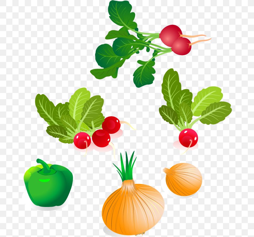 Vegetable Royalty-free Clip Art, PNG, 679x765px, Vegetable, Apple, Branch, Flower, Food Download Free