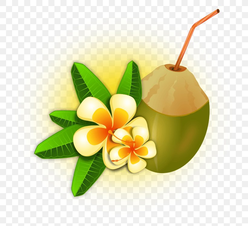 Coconut Water Tropics Clip Art, PNG, 800x749px, Coconut Water, Document, Drink, Flower, Flowerpot Download Free