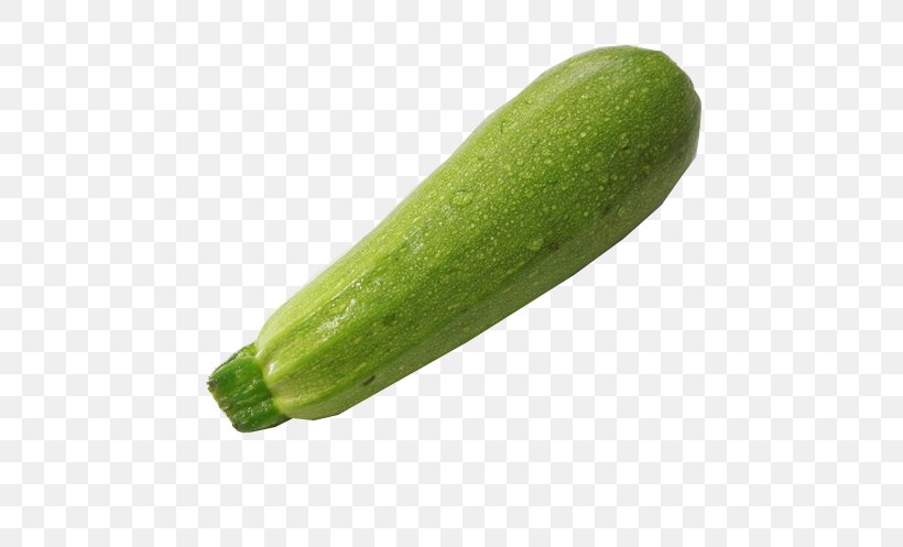Cucumber Pumpkin Vegetable Melon, PNG, 700x497px, Cucumber, Chayote, Cucumber Gourd And Melon Family, Cucumis, Designer Download Free