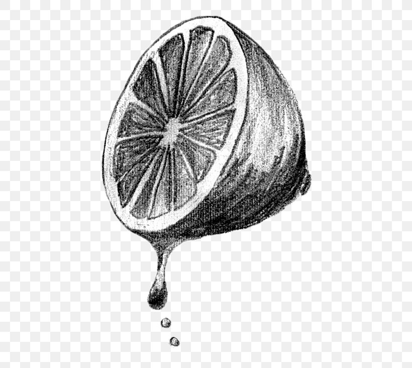 Drawing /m/02csf White, PNG, 510x732px, Drawing, Black And White, Food, Fruit, Monochrome Download Free