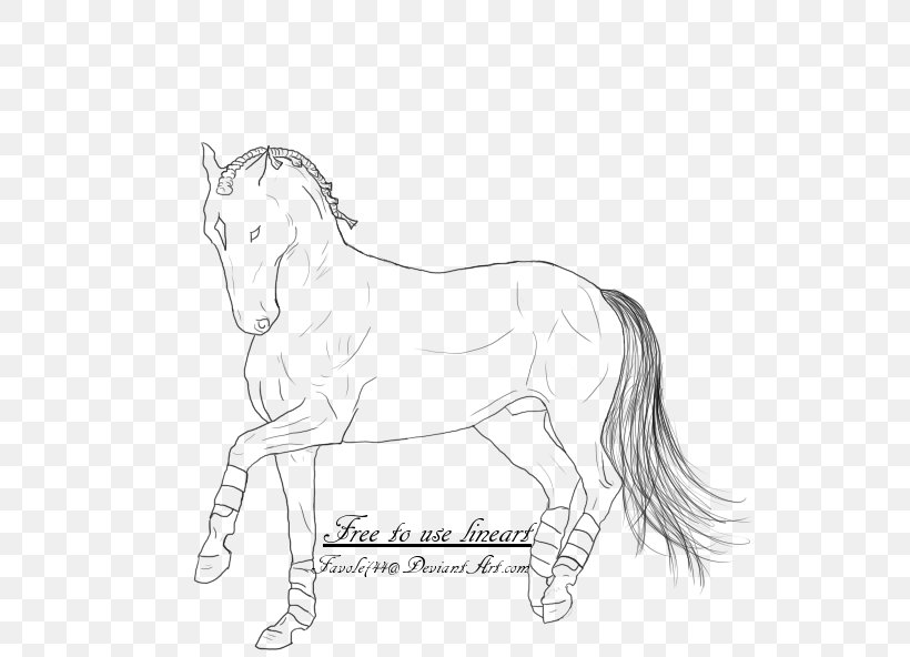 Halter Foal Mane Mustang Stallion, PNG, 800x592px, Halter, Artwork, Black And White, Bridle, Colt Download Free