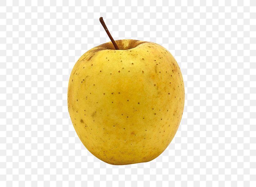 Apple Golden Delicious Red Delicious Ginger Gold Cultivar, PNG, 600x600px, Apple, Apples, Cortland, Cultivar, Food Download Free