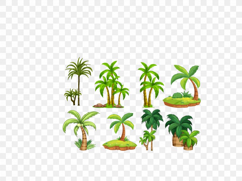 Arecaceae Royalty-free Clip Art, PNG, 3461x2596px, Arecaceae, Art, Drawing, Flora, Flower Download Free