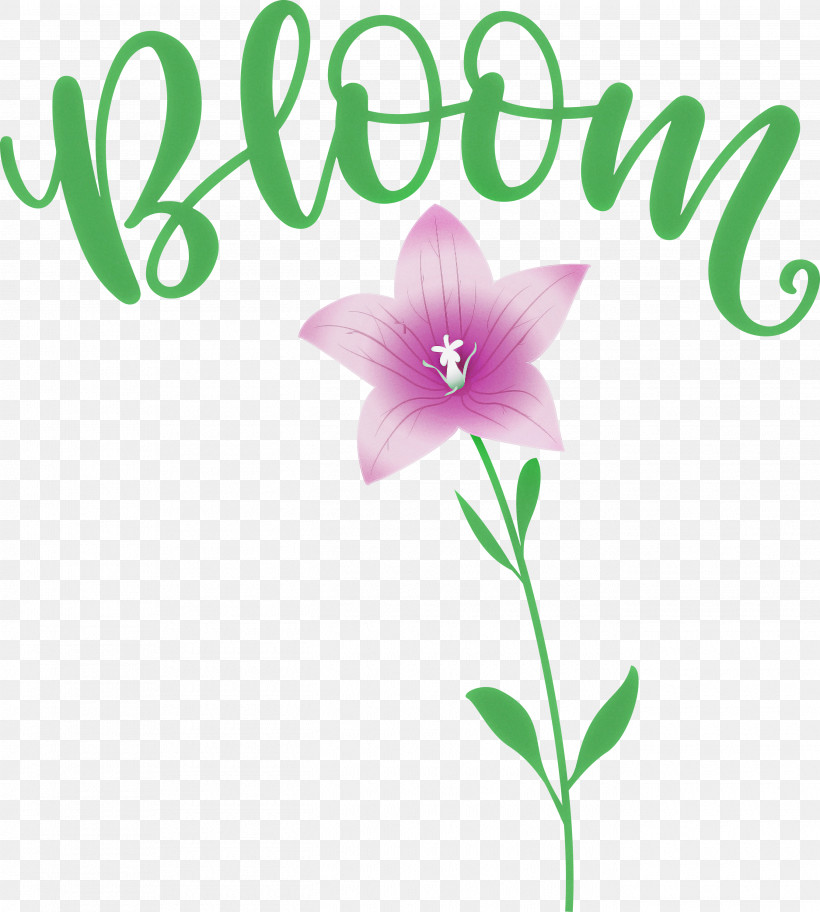 Bloom Spring Flower, PNG, 2695x3000px, Bloom, Cut Flowers, Floral Design, Flower, Herbaceous Plant Download Free