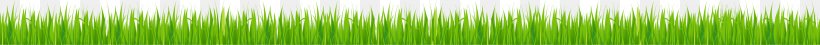 Green Angle Computer Wallpaper, PNG, 3000x166px, Green, Computer, Grass Download Free