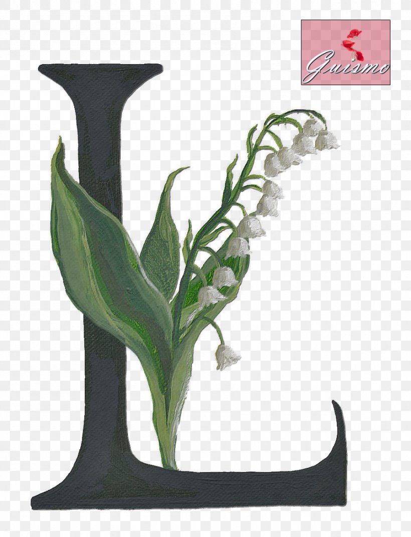 Lily Of The Valley Seoul Park Jun Jee Image Alphabet, PNG, 897x1173px, Lily Of The Valley, Alphabet, Flowerpot, Influencer Marketing, Instagram Download Free
