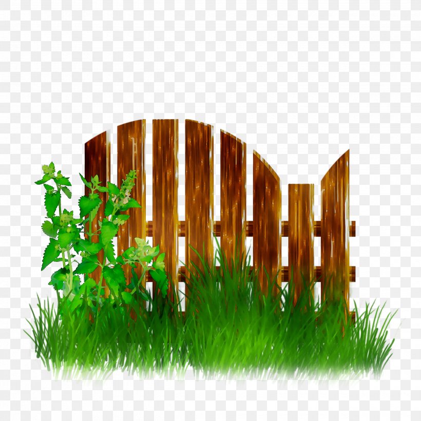 Product Design Graphics Grasses, PNG, 2480x2480px, Grasses, Fence, Grass, Grass Family, Lawn Download Free