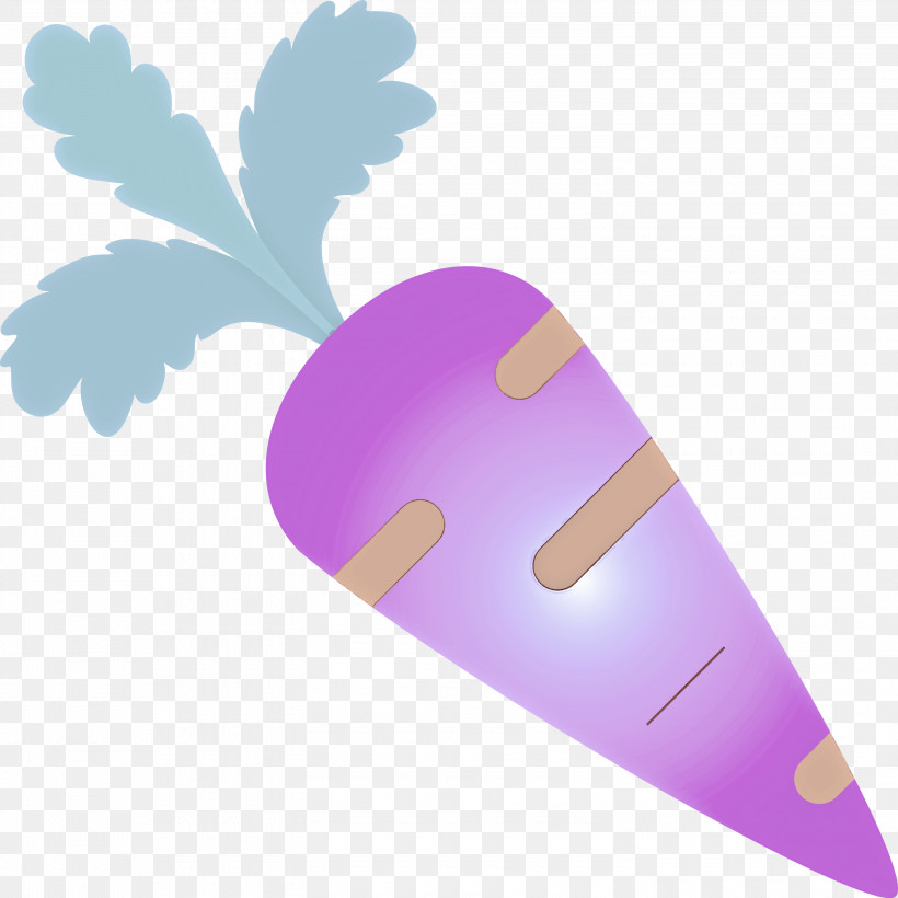 Carrot, PNG, 3000x3000px, Carrot, Lavender, Leaf, Plant, Purple Download Free