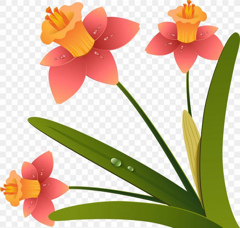 Flower Drawing, PNG, 5096x4864px, 2d Computer Graphics, Flower, Amaryllis Family, Art, Cattleya Download Free