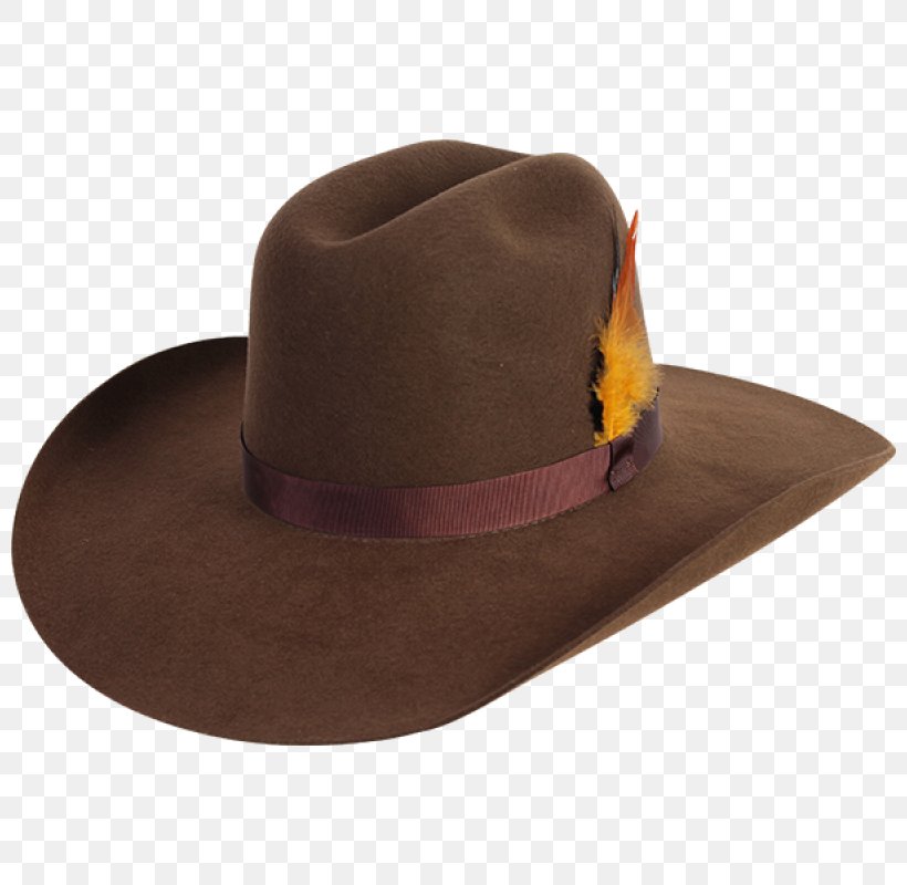 Headgear Hat Brown, PNG, 800x800px, Headgear, Brown, Hat Download Free