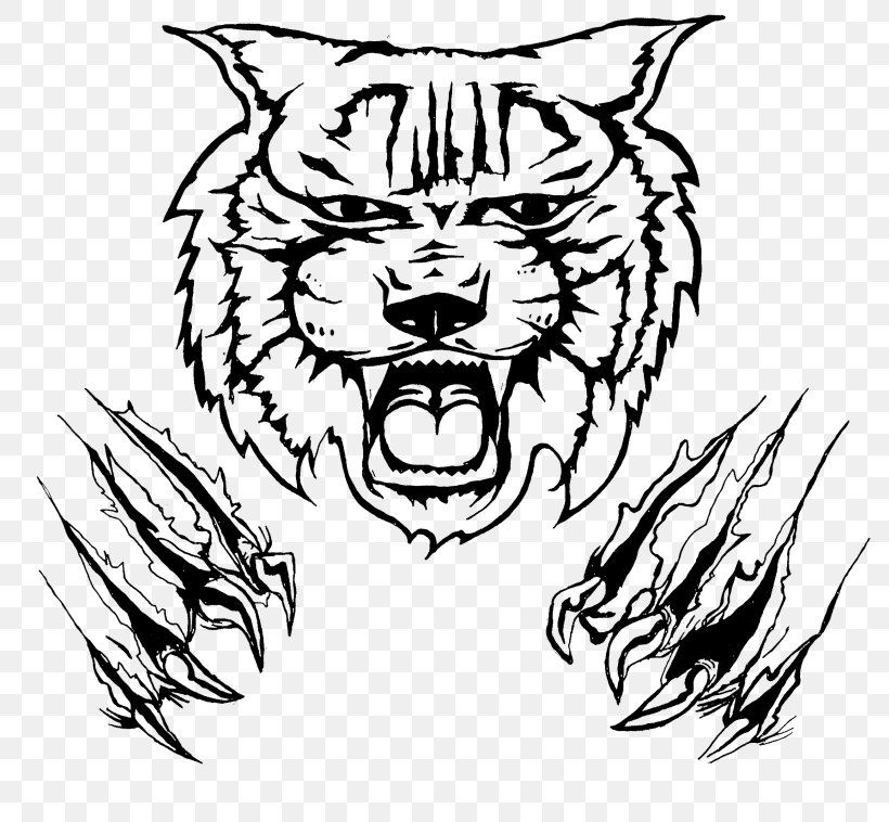 Kentucky Wildcats Football Logo Clip Art, PNG, 800x758px, Wildcat, Arizona Wildcats, Art, Artwork, Big Cats Download Free