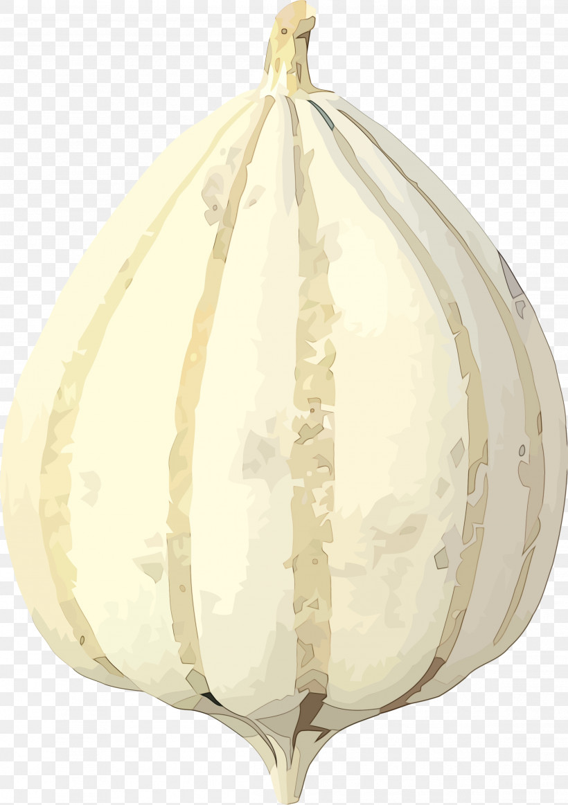 Vegetable Onion Plant Allium Elephant Garlic, PNG, 2306x3273px, Pumpkin, Allium, Autumn, Beige, Elephant Garlic Download Free