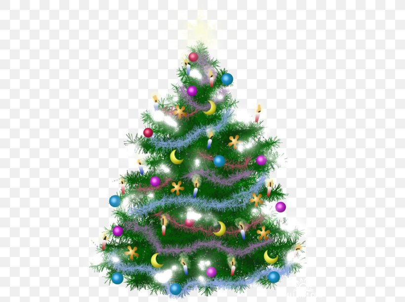 Christmas Tree Christmas Ornament Spruce Fir Pine, PNG, 500x611px, Christmas Tree, Christmas, Christmas Decoration, Christmas Ornament, Conifer Download Free