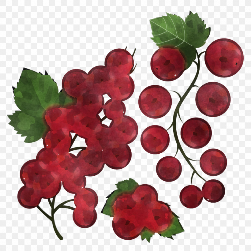 Berry Plant Currant Fruit Grape Leaves, PNG, 1000x1000px, Berry, Alpine Strawberry, Currant, Flower, Food Download Free