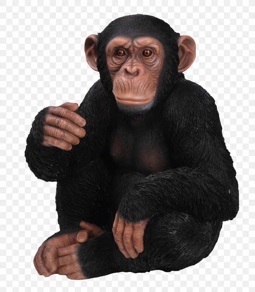 Chimpanzee Gorilla Ape Ornament Sitting, PNG, 2311x2640px, Chimpanzee, Animal, Ape, Art, Common Chimpanzee Download Free