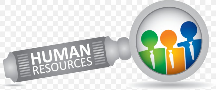Human Resource Management Organization, PNG, 1024x429px, Human Resource, Brand, Business, Business Process, Company Download Free
