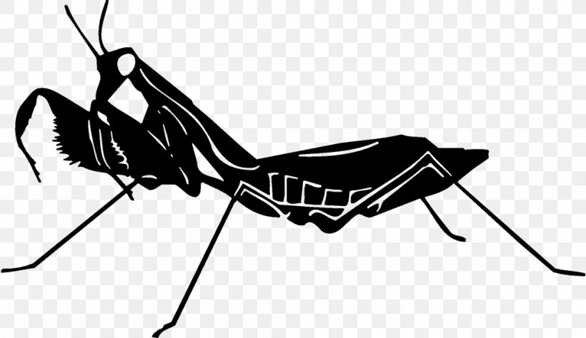 Insect Silhouette Clip Art, PNG, 1000x579px, Insect, Arthropod, Black, Black And White, Black M Download Free