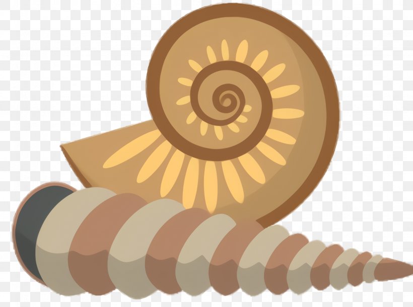 Snail Cartoon, PNG, 1848x1376px, Snail, Ammonoidea, Chambered Nautilus, Nautilus, Nautiluses Download Free