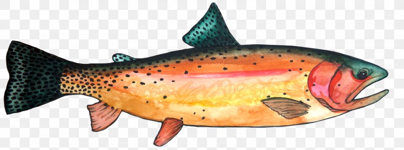 Coastal Cutthroat Trout Coho Salmon Northern Red Snapper, PNG, 1600x596px, Coastal Cutthroat Trout, Animal, Animal Figure, Bony Fish, Coho Download Free