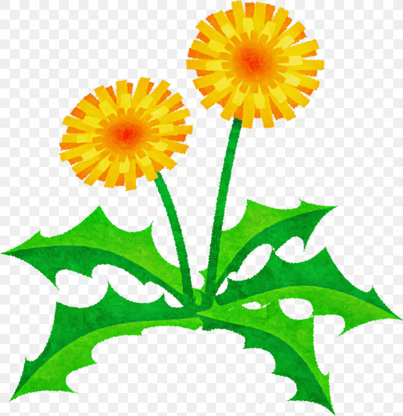 Floral Design, PNG, 1548x1600px, Cut Flowers, Carnation, Chrysanthemum, Floral Design, Floristry Download Free