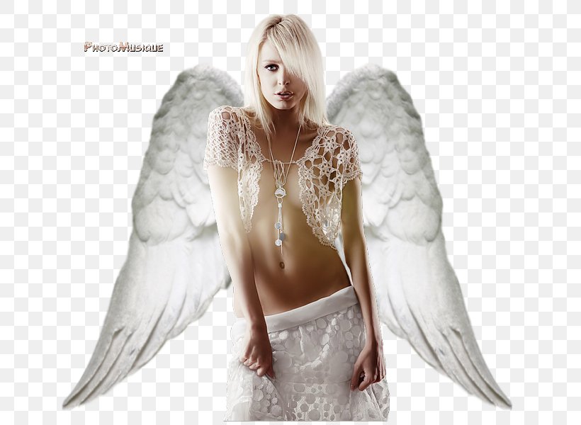 Photomontage Angel Lucifer Photography, PNG, 662x600px, Watercolor, Cartoon, Flower, Frame, Heart Download Free