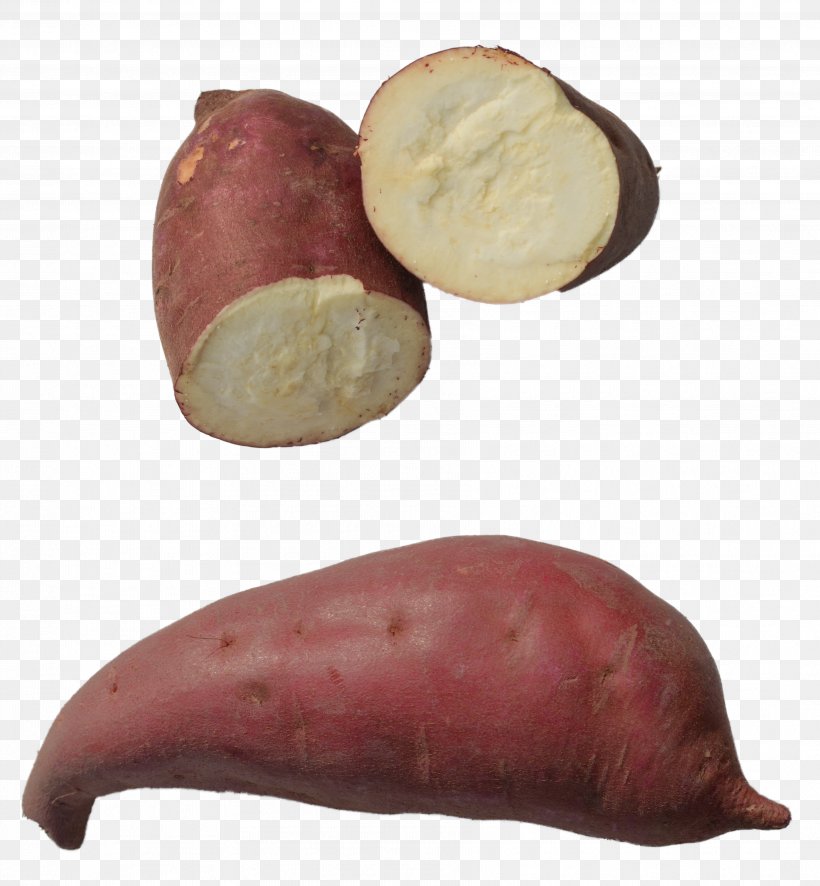 Root Vegetables Sweet Potato Food, PNG, 3551x3841px, Vegetable, Brush, Cleaning, Container, Doreva Produce Download Free