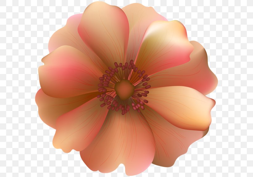 Desktop Wallpaper Rose Clip Art, PNG, 600x574px, Rose, Art, Blossom, Blue Rose, Close Up Download Free