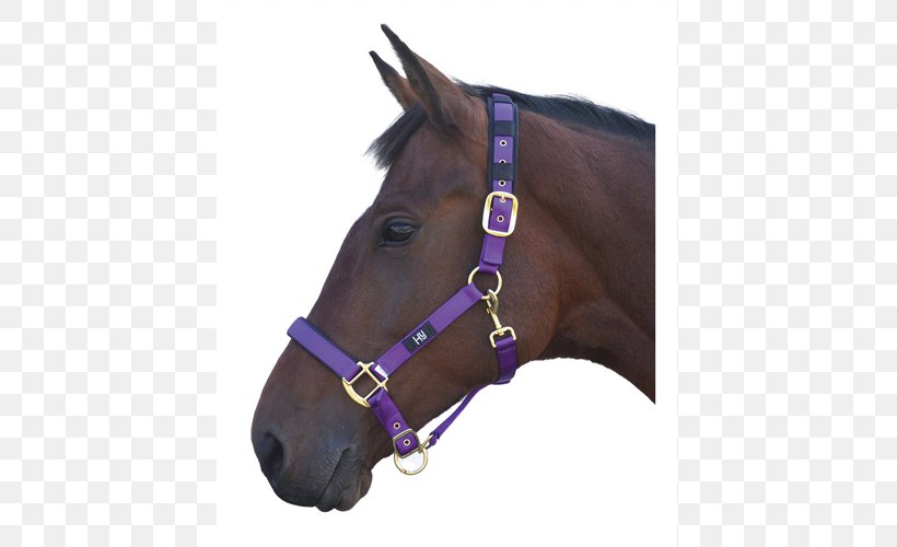 Halter Welsh Pony And Cob Lead, PNG, 500x500px, Halter, Bridle, Cob, Collar, Horse Download Free