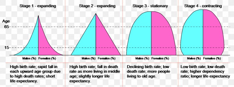 Population Pyramid Demographic Transition Population Growth Birth Rate, PNG, 1199x450px, Population Pyramid, Area, Birth Rate, Brand, Demographic Transition Download Free