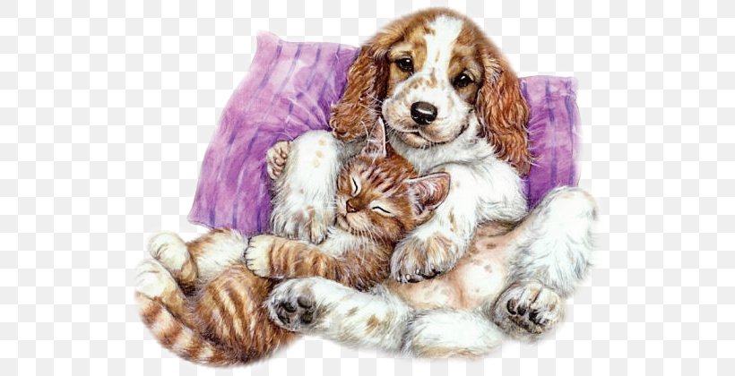 Animation Friendship YouTube, PNG, 536x420px, Animation, Carnivoran, Cat, Cockapoo, Companion Dog Download Free