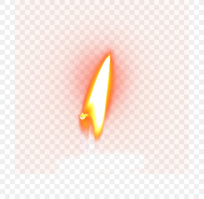 Fire Flame Download Conflagration, PNG, 800x800px, Watercolor, Cartoon, Flower, Frame, Heart Download Free