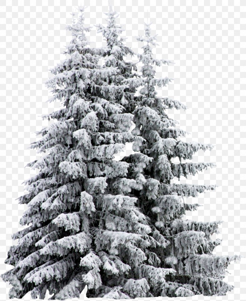 Artificial Christmas Tree Snow, PNG, 882x1080px, Christmas Tree, Artificial Christmas Tree, Black And White, Christmas, Christmas Decoration Download Free
