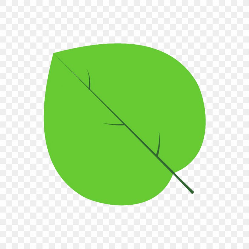 Circle Leaf Angle, PNG, 950x950px, Leaf, Grass, Green, Plant, Rectangle Download Free