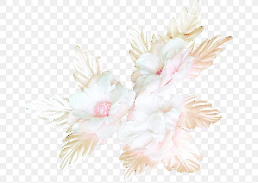 Cut Flowers Floral Design Petal, PNG, 663x584px, Cut Flowers, Blossom, Feather, Floral Design, Flower Download Free