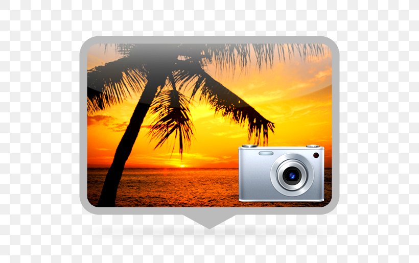 Desktop Wallpaper Photography Camera, PNG, 515x515px, Photography, Brand, Camera, Cartoon, Computer Download Free
