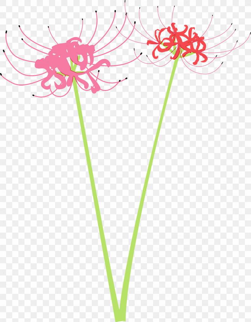 Flower Pink Plant Cut Flowers Pedicel, PNG, 2338x3000px, Hurricane Lily, Cut Flowers, Flower, Paint, Pedicel Download Free
