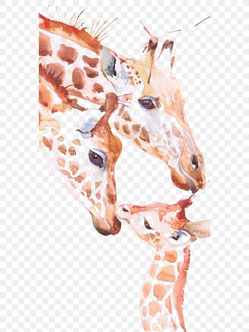 Giraffe Watercolor Painting Art Drawing, PNG, 564x1091px, Giraffe, Animal, Art, Close Up, Drawing Download Free