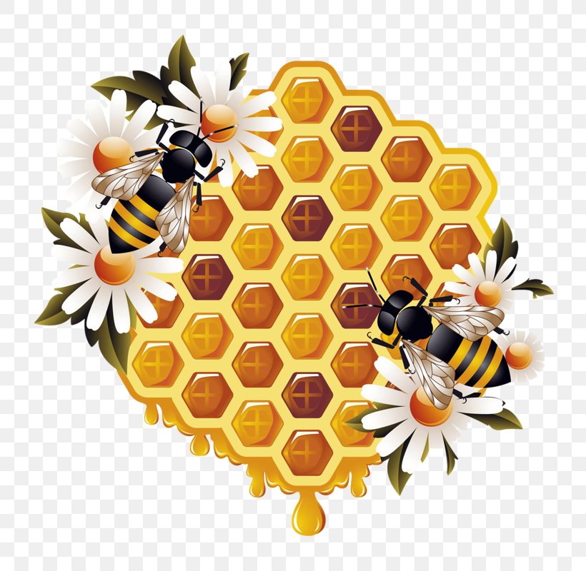 Honey Bee Beehive Bumblebee, PNG, 800x800px, Bee, Africanized Bee, Beehive, Bumblebee, Floral Design Download Free